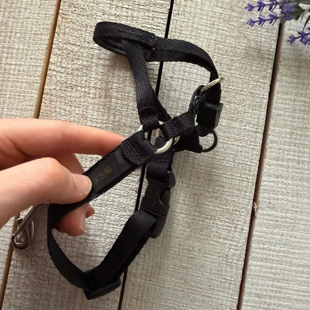Coastal Walk ‘n Train Dog Head Halter